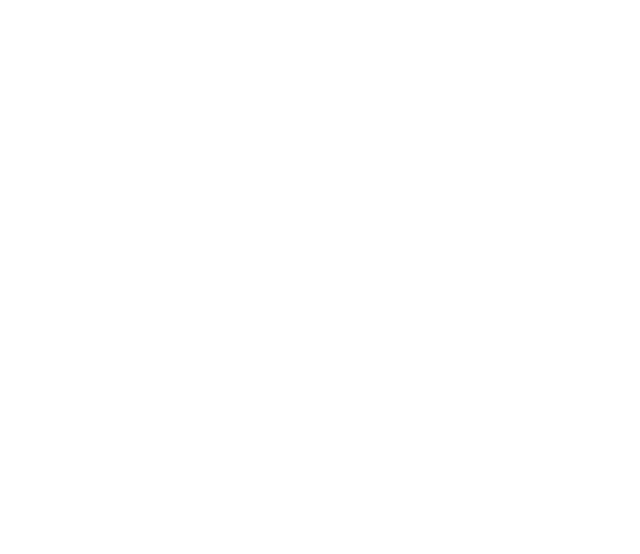 Sci & Snowboard Gorduno